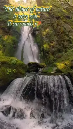 Sounds of nature