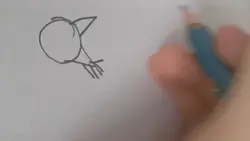 Xd