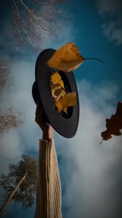 nouveau modèle 