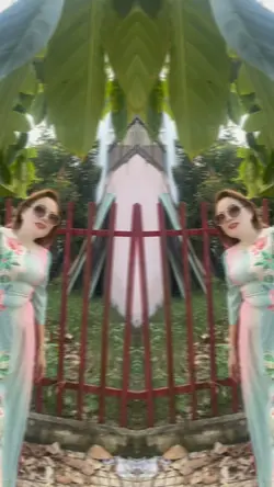 Vẩn thích bài hát 