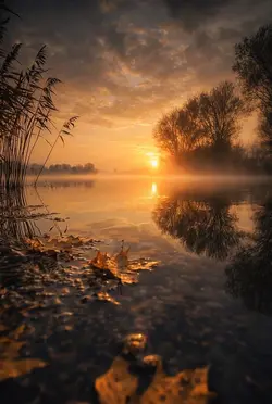 Into The Light