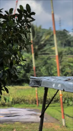 ANAK KAMPUNG CINE