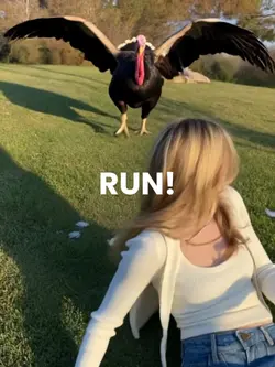 Run filter