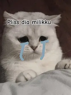 dia milikku