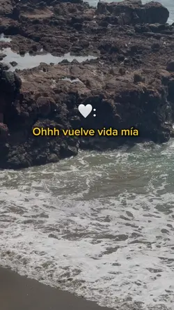 Vuelve vida mía 