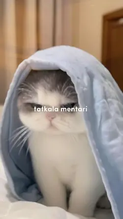 tatkala mentari