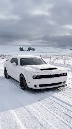 Ice Muscle 🔥