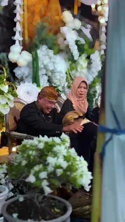 tangismu ddi dongane