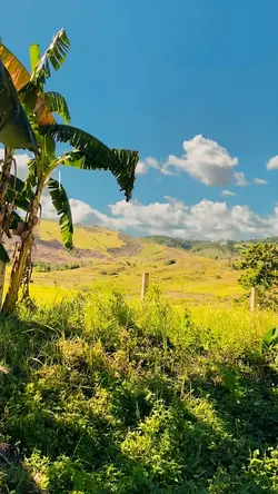 Sa bundok gagala