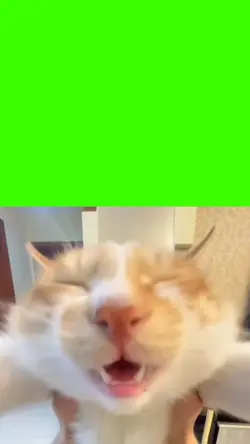 helloooo