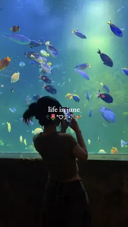 life in june