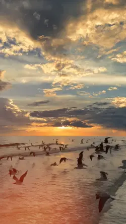 2 clips slowmo india