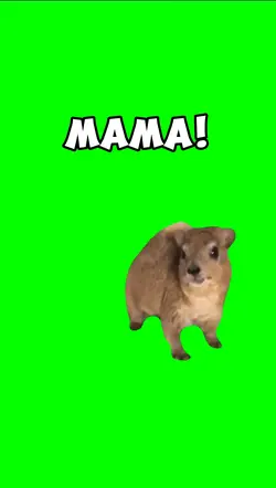 MAMA!