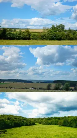 nature 