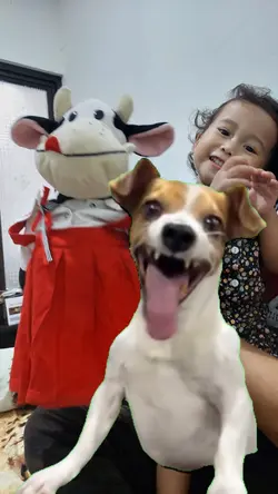 Guguk Ketawa Ngakak