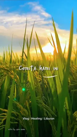 cerita hari ini