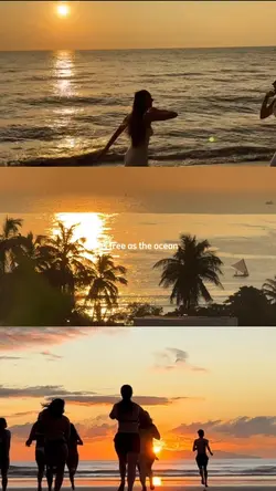 as free as the ocean