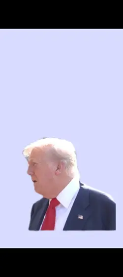 Trump team player 