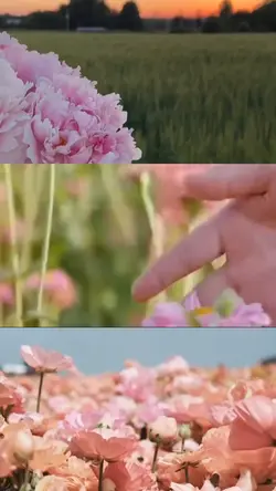 flower season