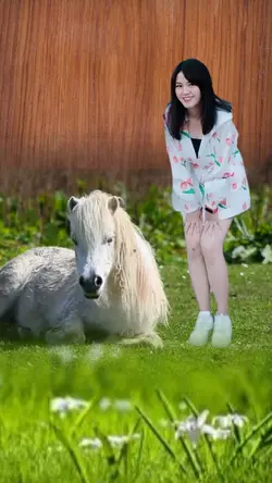 horse ม้าขาว
