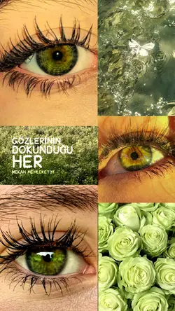 yeni göz akımı