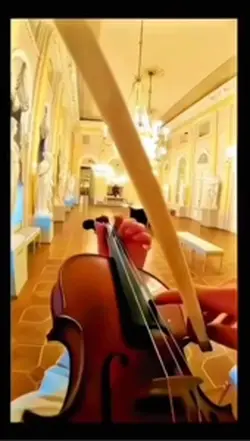 Violent violon 