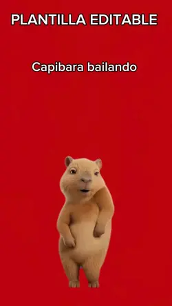 Capibara bailando