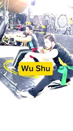 Kung Fu