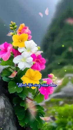 Mùa xuân đã  đến