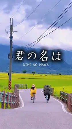 Kimi no nawa US