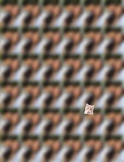 blur pic 