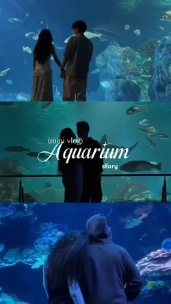 Aquarium story
