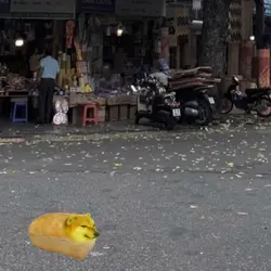 Thử đi ae🔥🔥