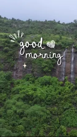 Good Morning
