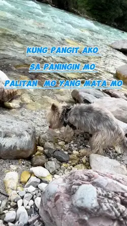 PALITAN  MO MATA MO