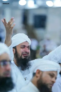 مورې د ج ن ګ ده