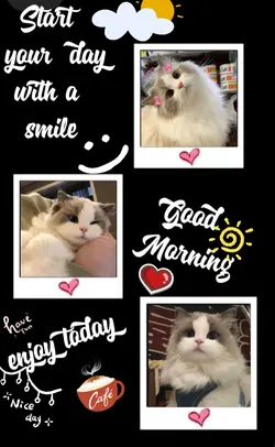 Good morning