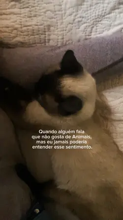 quando alguém fala q