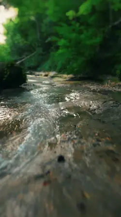 Filter Slowmo