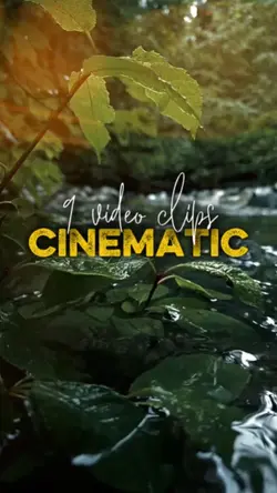 9 video clips