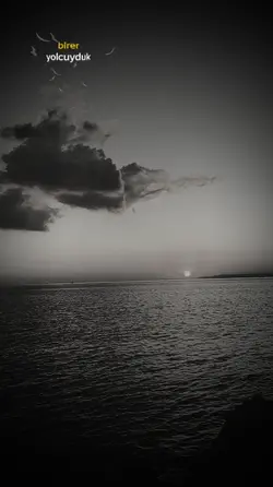 AHMET KAYA
