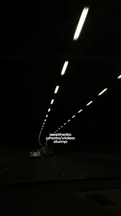 aesthetic dump