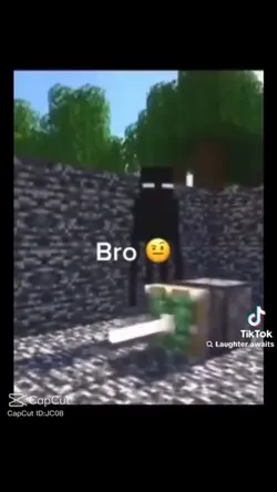 Minecraft sus