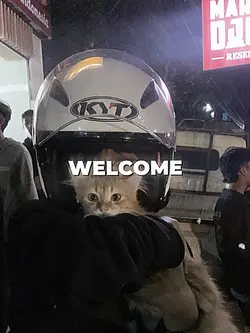 hello welcome