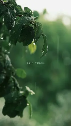 rain vibes
