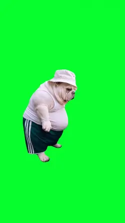funny fat dog