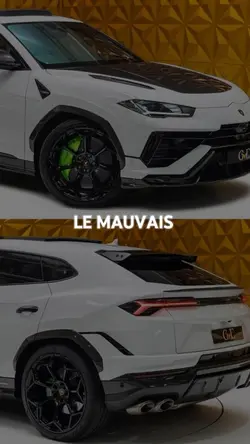le mauvais