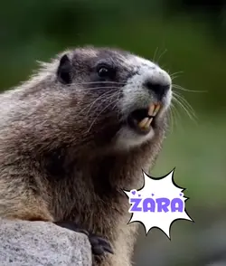 TUPAI PANGGIL NAMA 