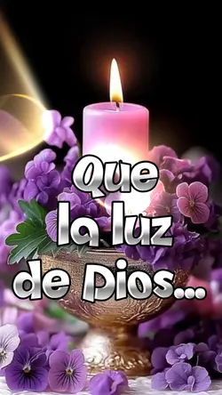 Dulces Sueños 