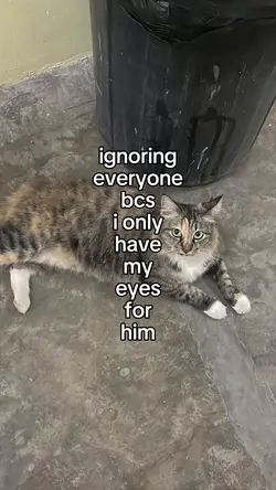 ignoring everyone
